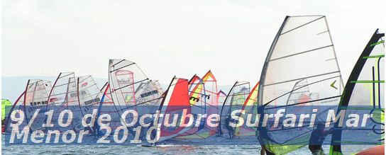 Surfary2010
