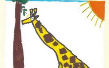 Girafe - Jirafa