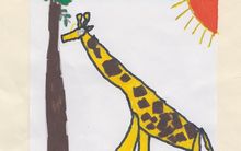 Girafe - Jirafa