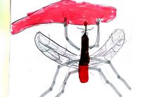 Moustique - Mosquito