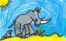 Rhinocéros - Rinoceronte