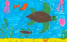 Tortue Marine