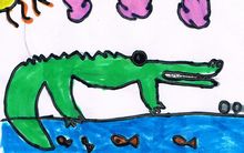 Crocodile - Cocodrilo