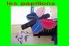 Papillons Falleros - GSD