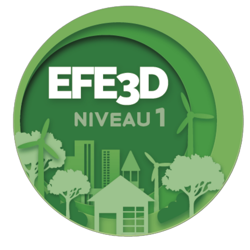 EFE3D