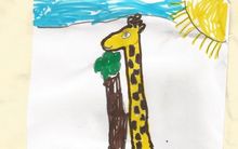 Girafe - Jirafa
